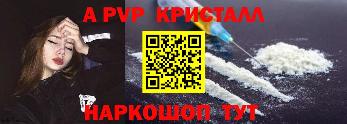 A PVP СК Майкоп