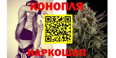гидра Заводоуковск