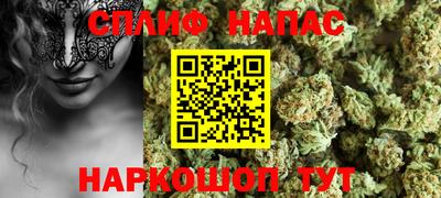 гидра Заводоуковск