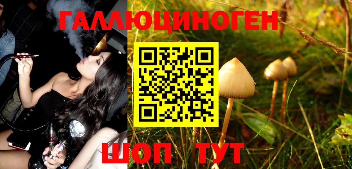 Псилоцибиновые грибы Magic Shrooms Майкоп